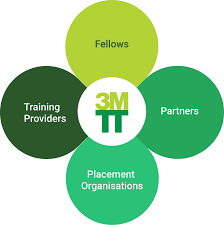 Complete Guide to Applying for the 3MTT Program in Nigeria
