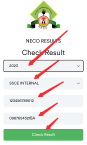 How to Check Your NECO Result With Your Registration Number: Complete Step-by-Step Guide