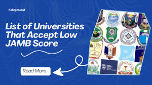 Universities You Can Gain Admission Into With a 170 JAMB Score in Nigeria